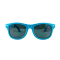 Sonnenbrille "AfD - Gesichert gut"